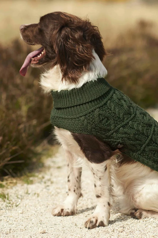 Aran Dog Coats