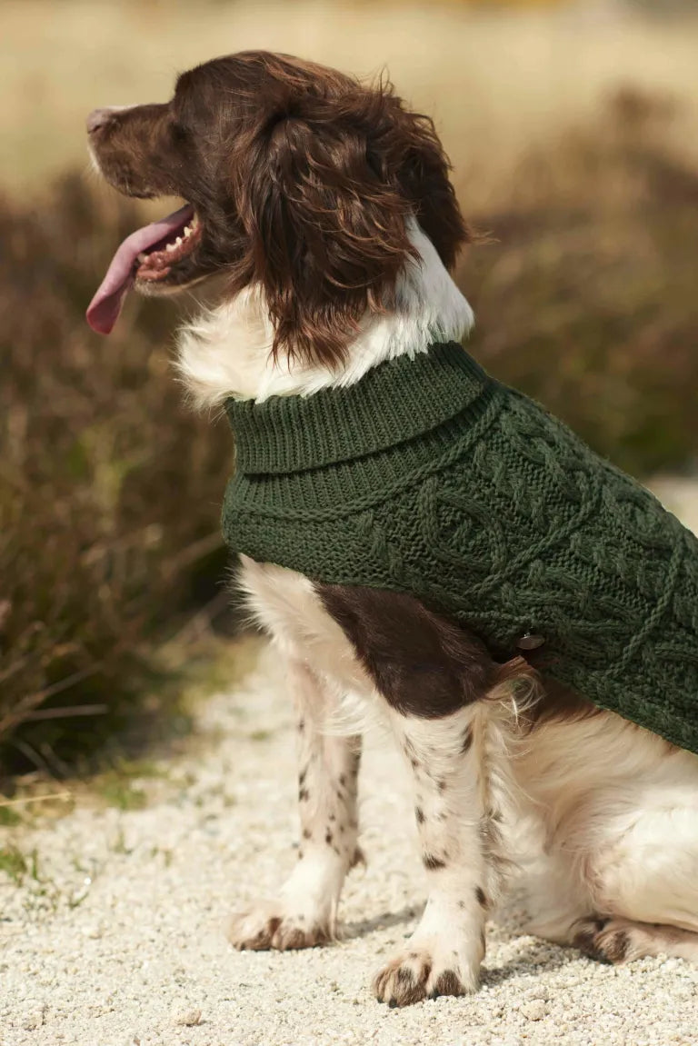 Aran Dog Coats